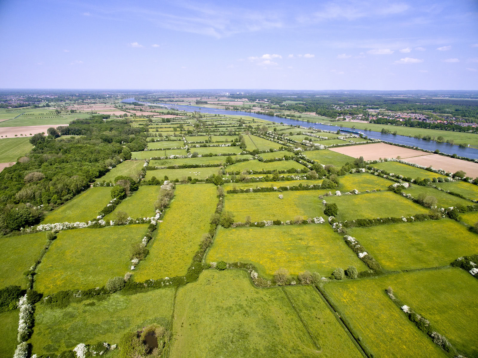 Welkom in de Maasheggen