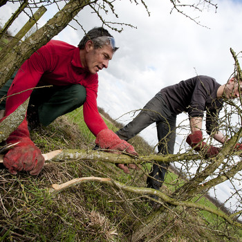 Oefenen met Maasheggenvlechten