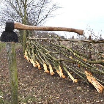 Cursus Maasheggenvlechten