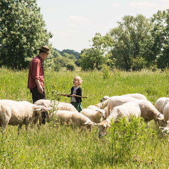 Meerstoel: op pad met de schaapherder