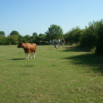 IVN: Wandelen over de Oeffelter Meent