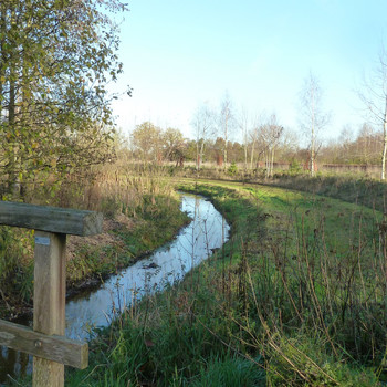 IVN wandeling langs de Maasheggen