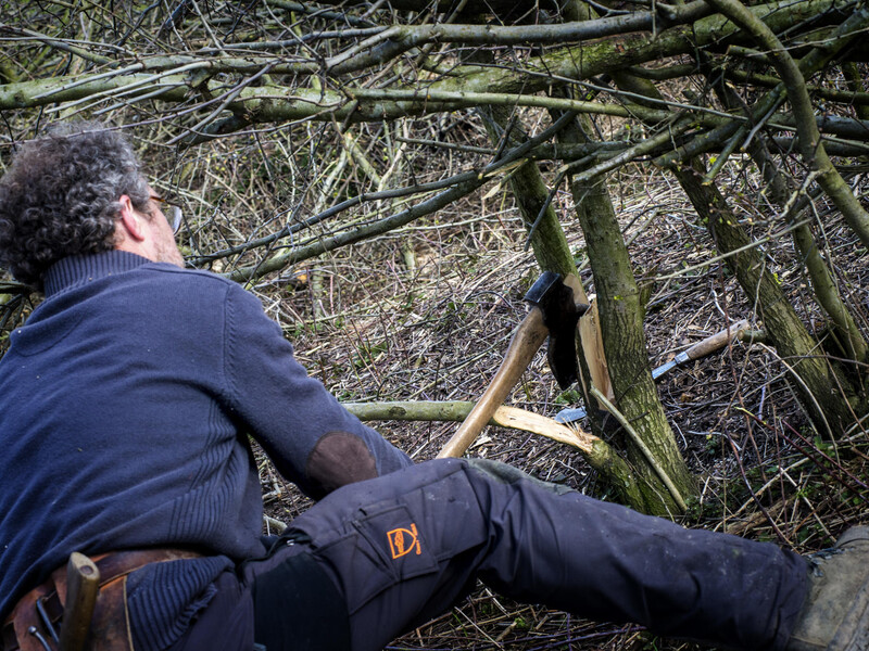 National hedge laying championships