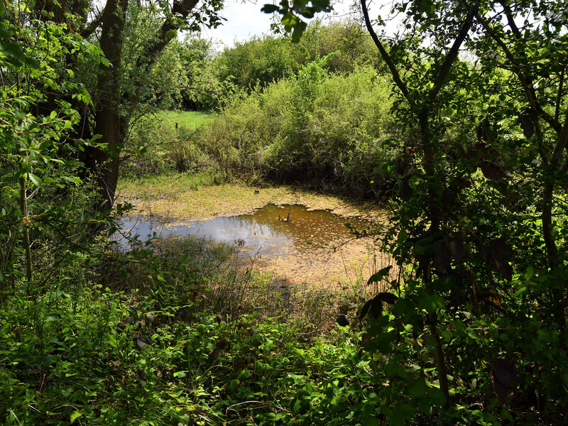 Water and climate