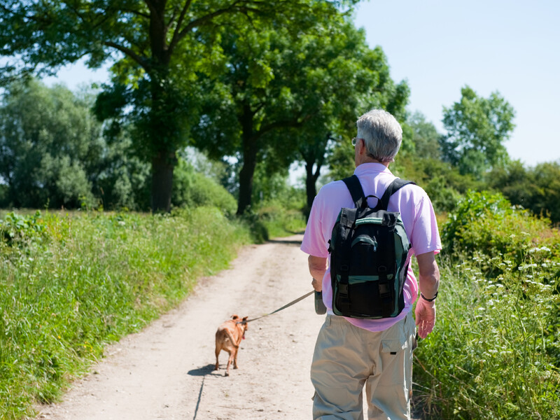 Wandelen in De Maasheggen